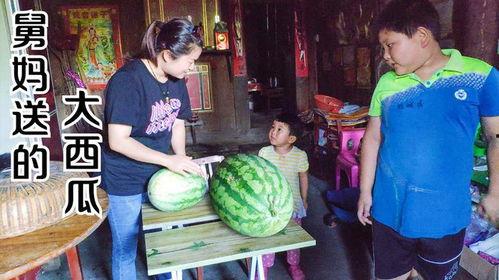 大舅妈吃瓜,揭秘家庭琐事背后的趣味故事