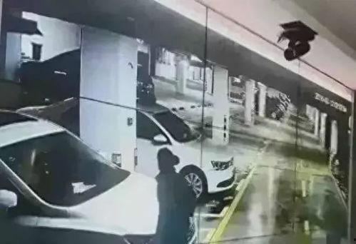 学校车库吃瓜,吃瓜群众的欢乐盛宴