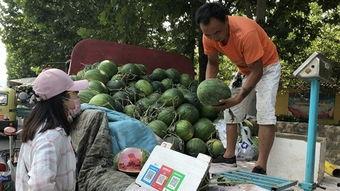 济宁市吃瓜,品味民俗风情