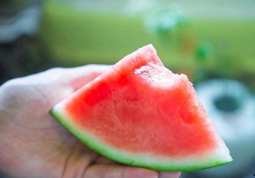 吃瓜乐趣小说,揭秘吃瓜乐趣小说背后的故事