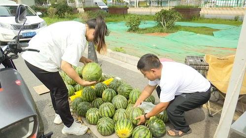 800元吃瓜,一场味蕾的瓜界之旅