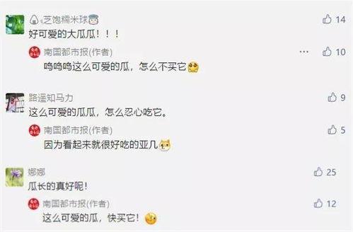 吃瓜群众领取教程,吃瓜群众领取教程大揭秘！