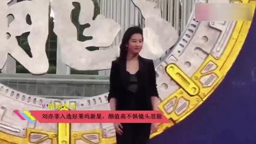 吃瓜鹅组视频,短视频背后的趣味与真相