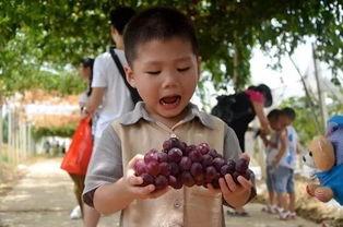 吃瓜姐妹专用群,揭秘网络社交圈的欢乐与温馨