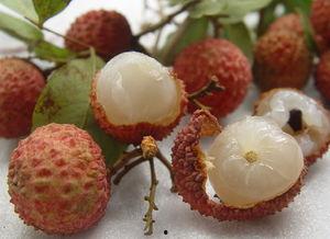 胖子吃瓜瘦子吃瓜,胖子瘦子同享吃瓜乐趣