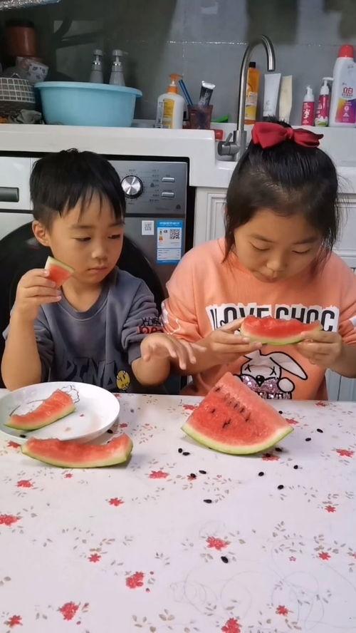 吃瓜姐妹说说搞笑,一场搞笑的瓜田盛宴