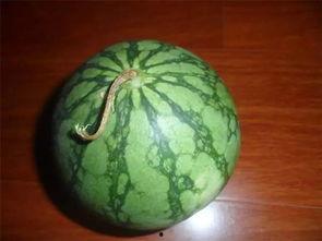 小绿在吃瓜,揭秘娱乐圈幕后故事