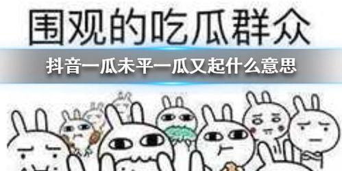 河南抖音吃瓜,揭秘网络热点的背后故事