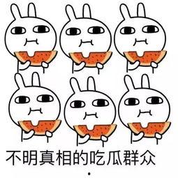 抱着吃瓜的头像,揭秘“抱着吃瓜”头像背后的趣味人生