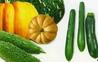 吃瓜成了瓜,揭秘网络热词的演变与魅力