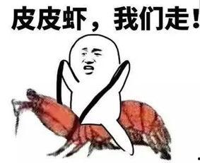 坐后排吃瓜群众,后排吃瓜群众视角下的精彩瞬间