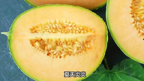 哈密瓜吃播,哈密瓜吃播带你领略甜蜜诱惑