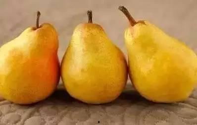 用气可以吃梨瓜不能吃