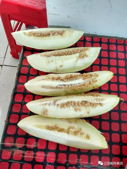 老板带你吃瓜,揭秘办公室八卦风云