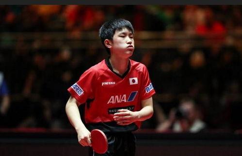 张本智和吃大头瓜,赛场趣事引发网友热议