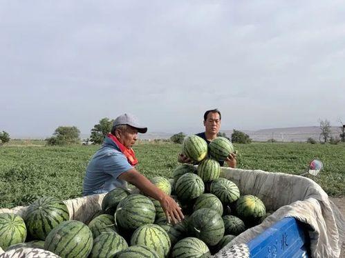 鄂州一家人吃瓜门,一场家庭纠纷引发的舆论风暴