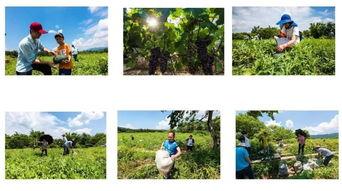 带你吃瓜主播名字,带你领略“吃瓜”主播的独特魅力