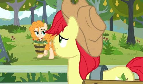 吃瓜小马宝莉,揭秘马儿们的甜蜜瓜界风云