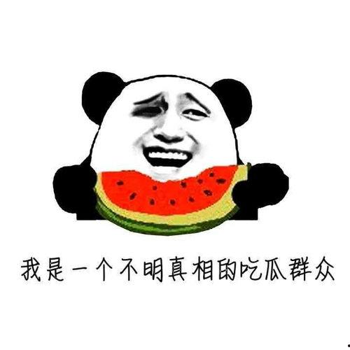 吃瓜会长胖么,吃瓜真的会导致发胖？揭秘瓜果热量与体重关系